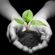 The Marketing Audit Gives Back
